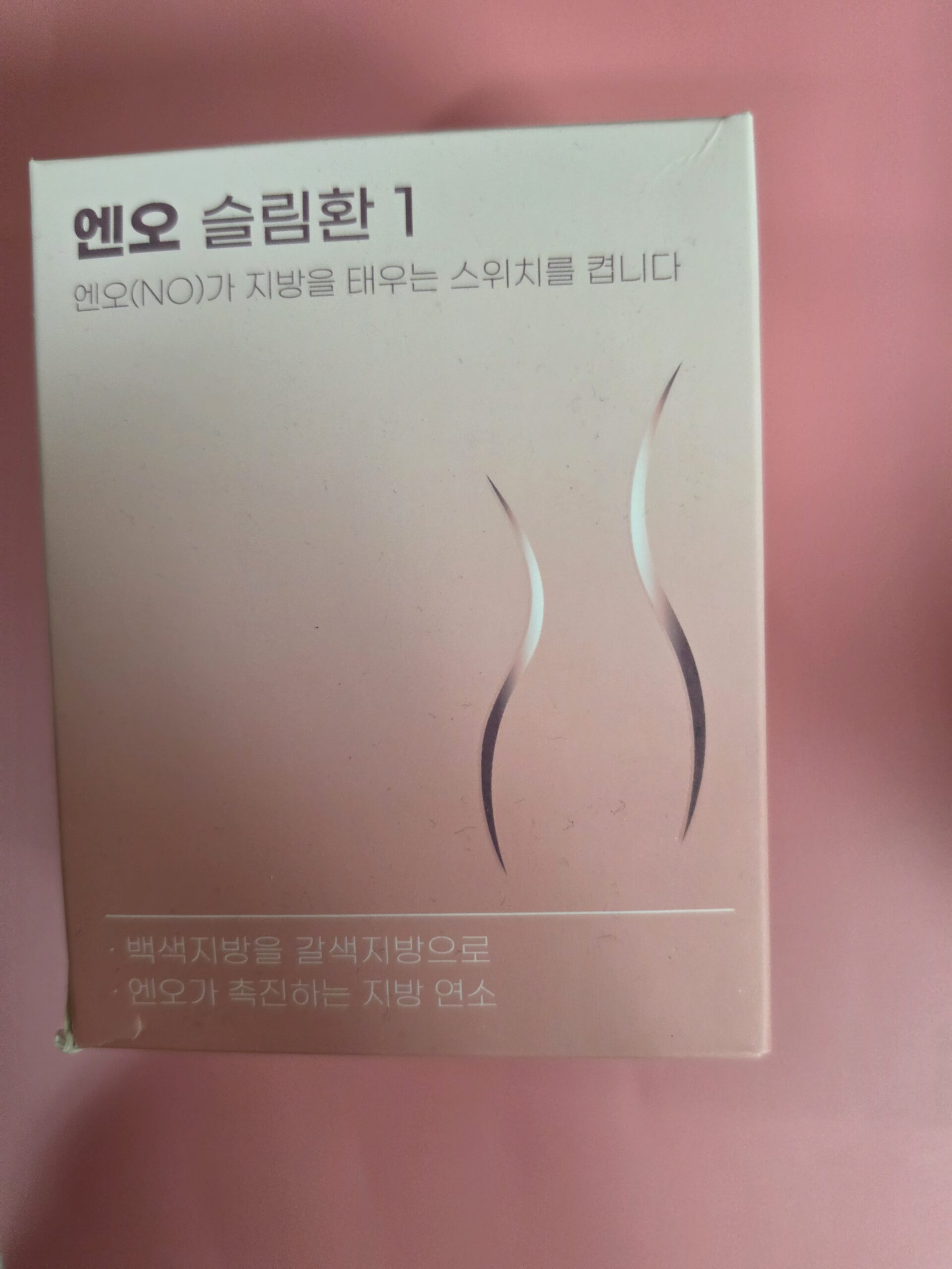 엔오슬림환 성분 한약 처방